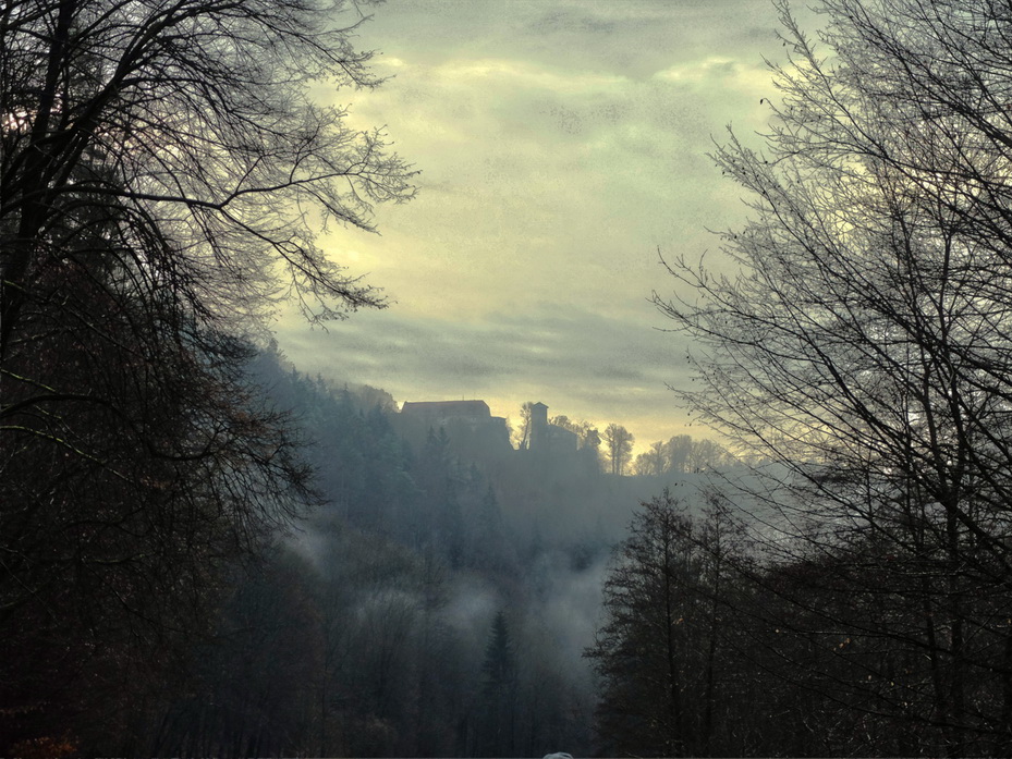 Blick aus dem Polenztal zur Burg Hohnstein